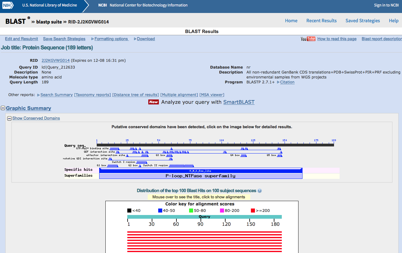 Standard Protein Blast result page (top).