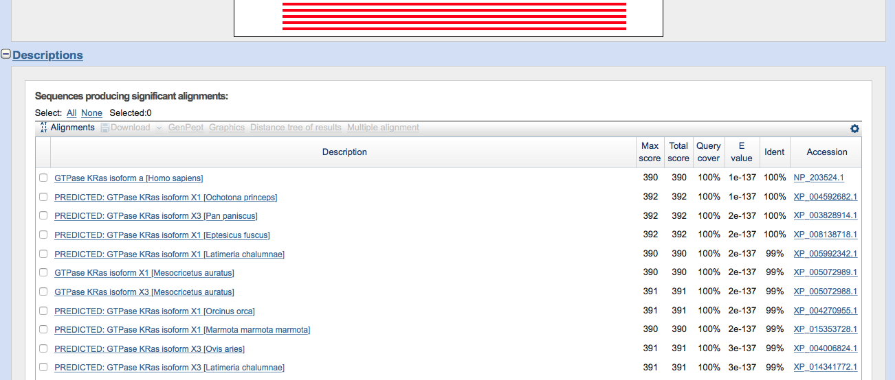 Standard Protein Blast result page (hit list).