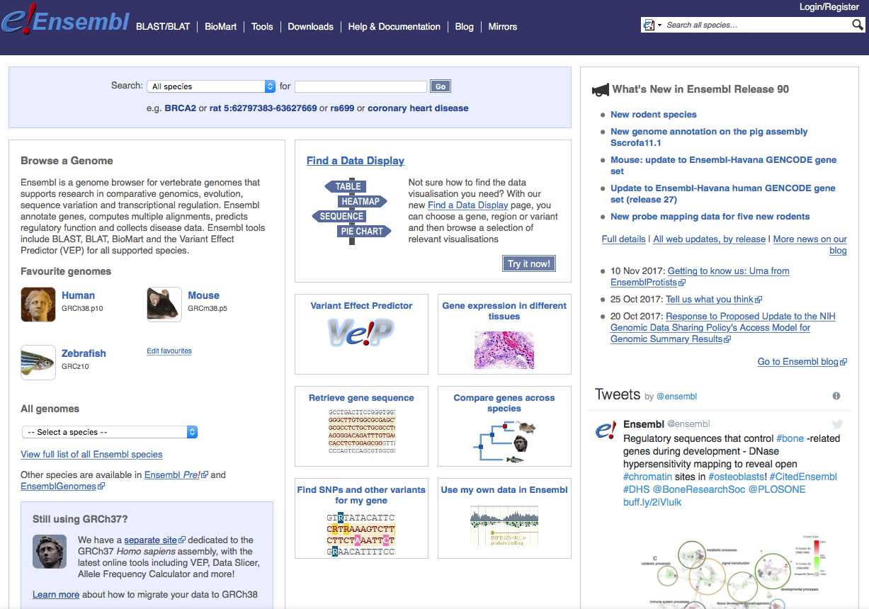 Screenshot of the EnsEMBL home page at https://www.ensembl.org.