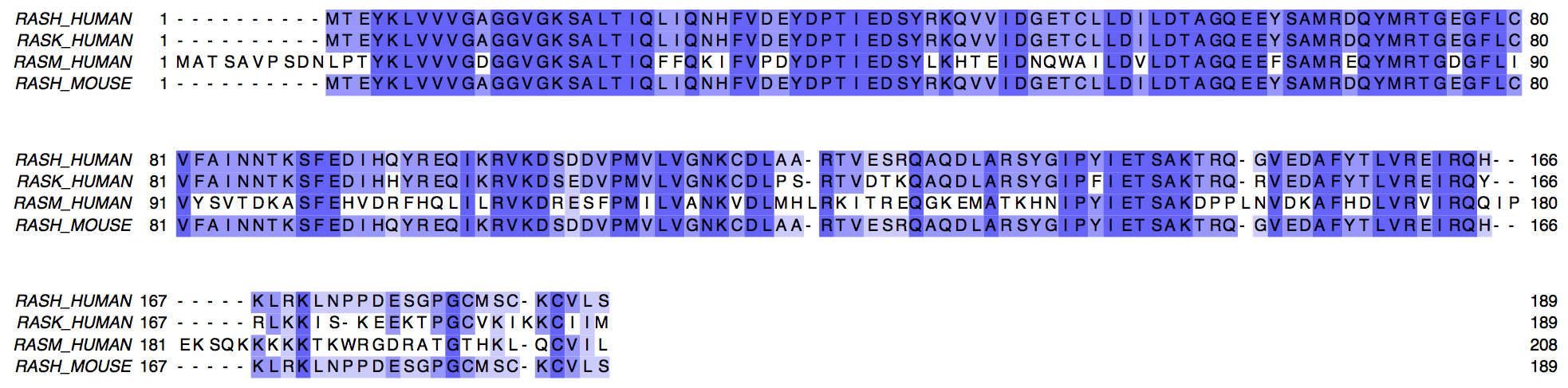 Multiple sequence aligment of RAS protein family members.