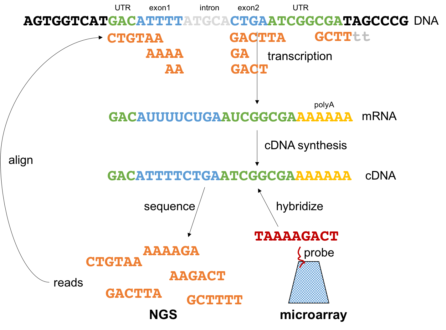 Summary of rationale behind NGS technologies.