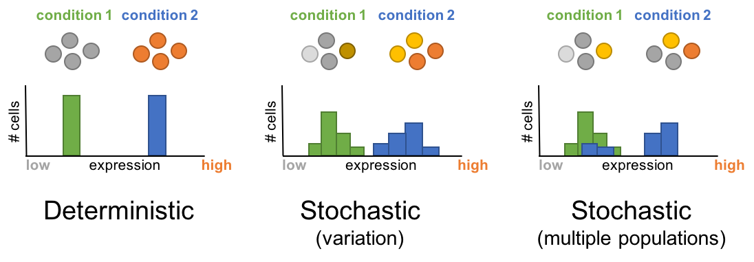 Single cell omics captures the stochastic nature of biological processes