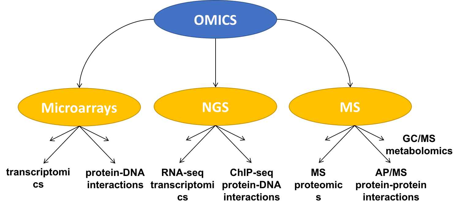 Classification of OMICS technologies.